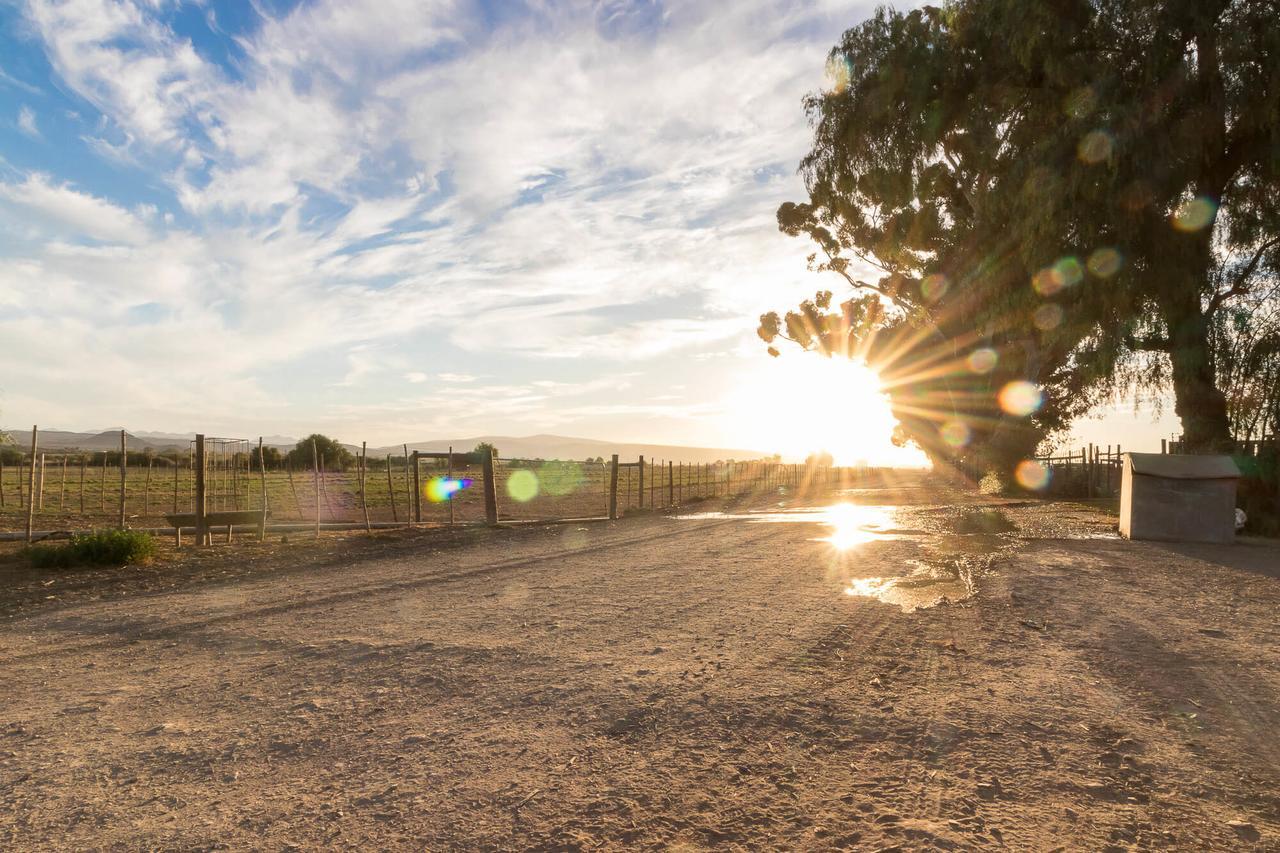 Welgeluk Cottage Oudtshoorn Esterno foto